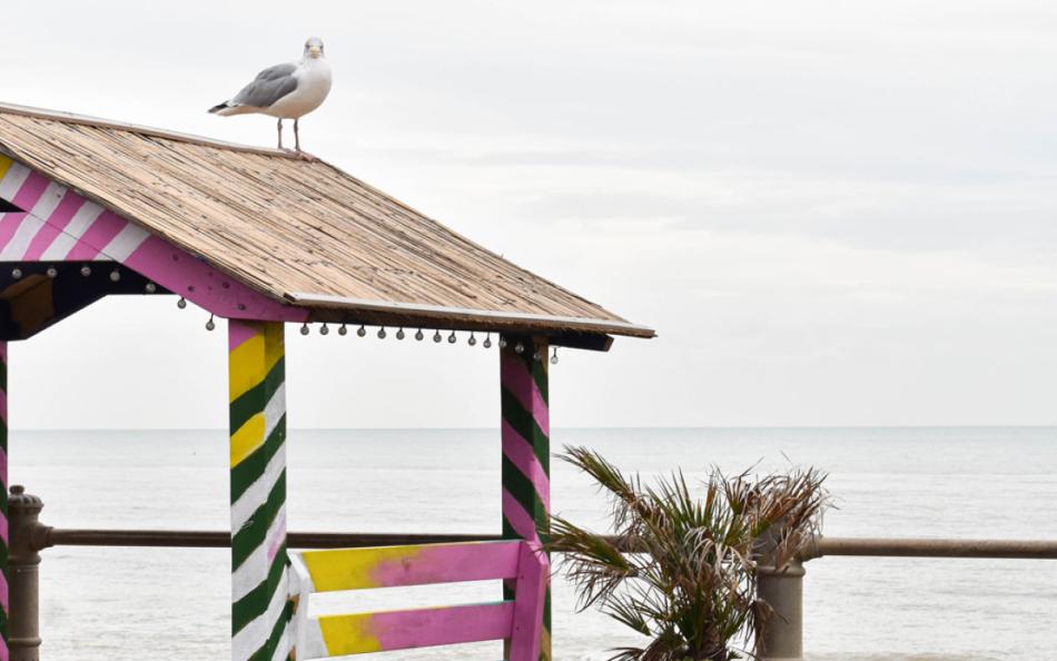 A Covered Table Brightly Painted Next to the Sea with a Straw Roof and Seagull on top