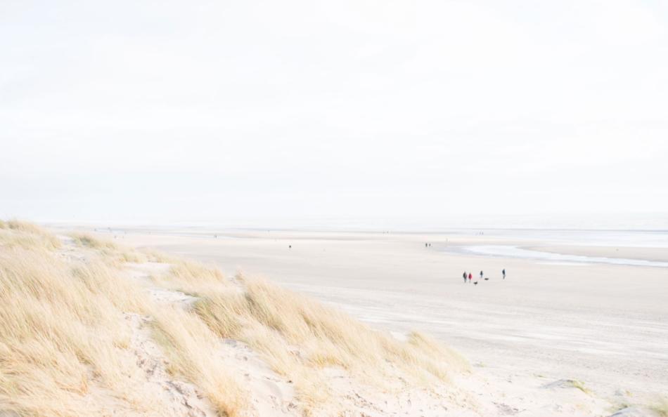 People Walking Their Dogs Along a Sussex Beach