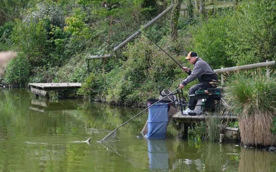 An Image of a Man sat down Landing a Fish at the Lakeside