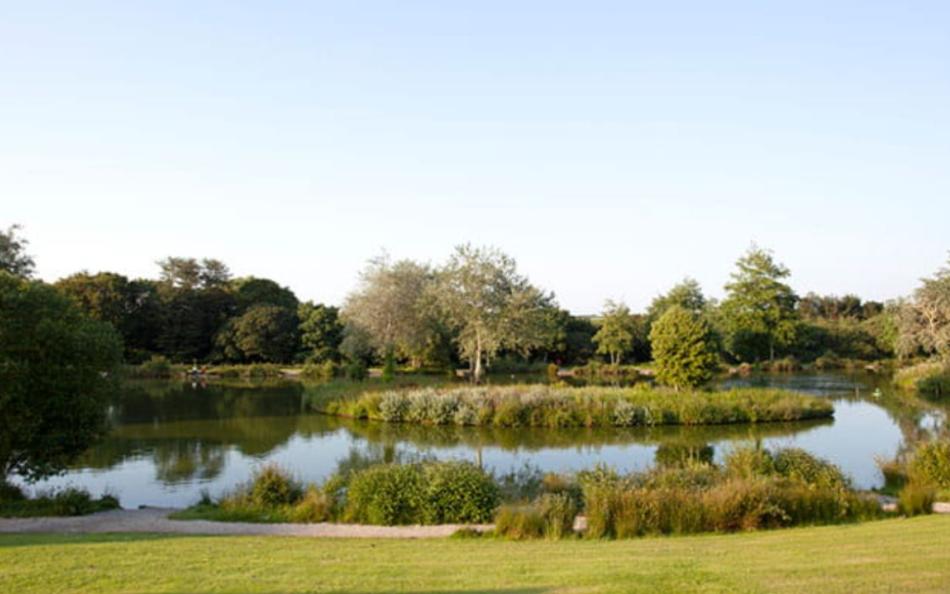 Fishing Lake in Cornwall  for holiday parks with fishing