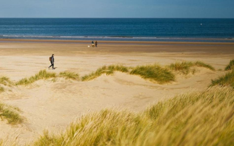 People Walking Along a Golden Beach and Sea in the Distance