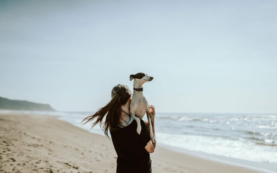 A Person Carrying a Dog Along a Sandy Beach 