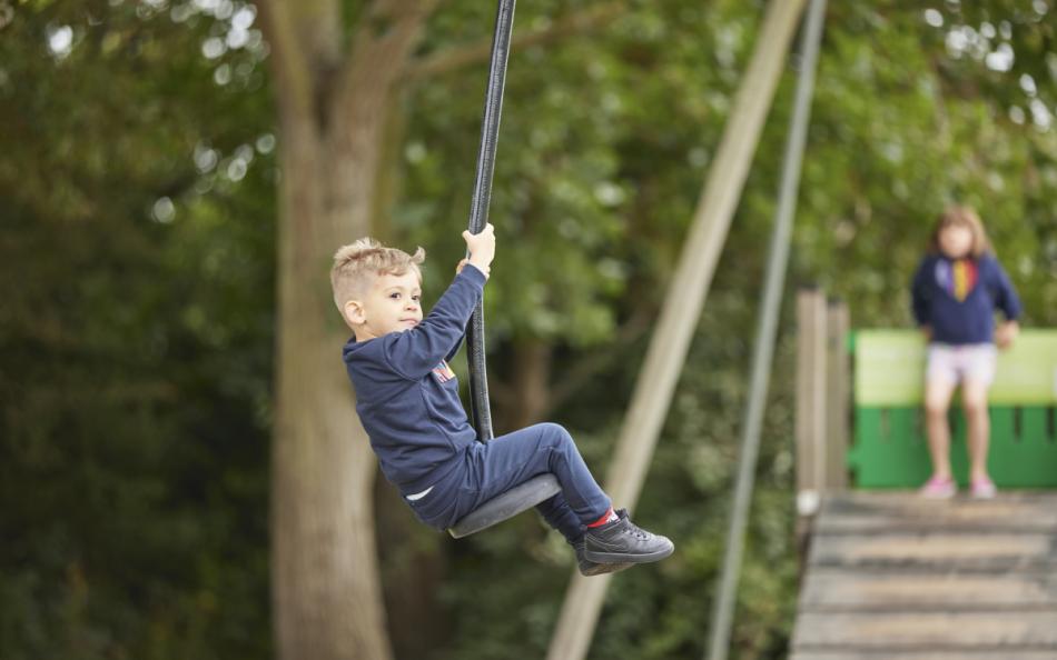 A Child Swinging Along a Zip Line Near a Tree with Another Child Watching