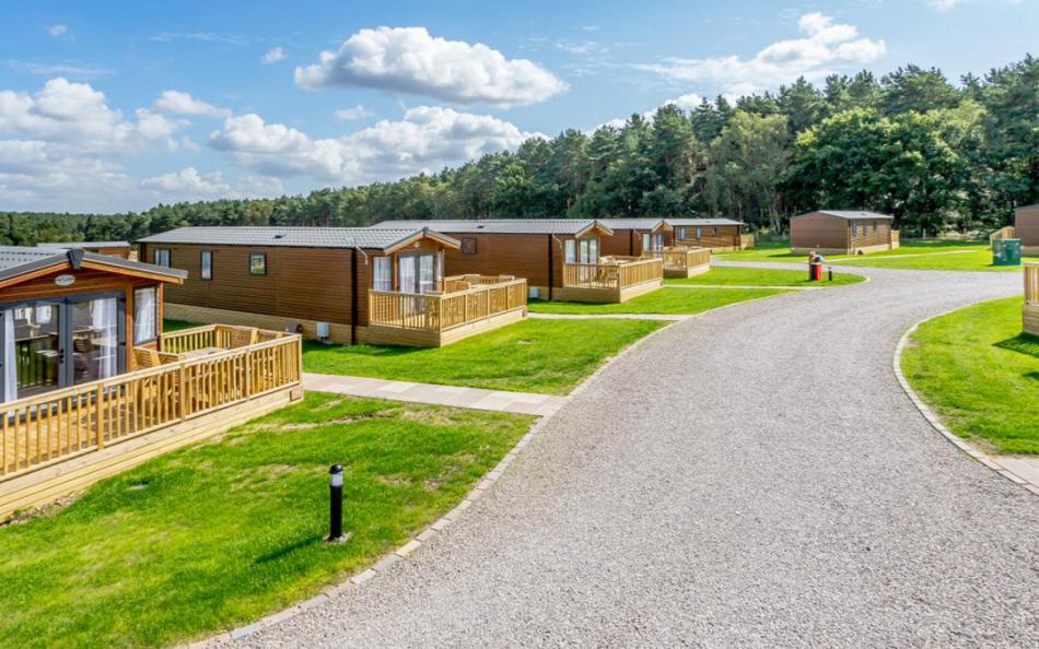 A Row of Holiday Lodges Surrounded by Forsets