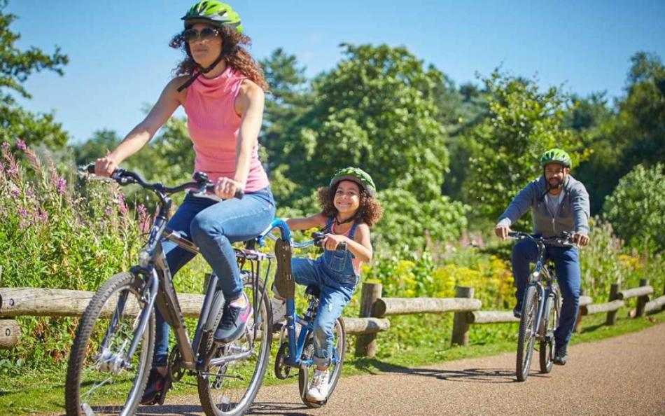 Three People Riding Bikes along a Cyclepath near to Woods