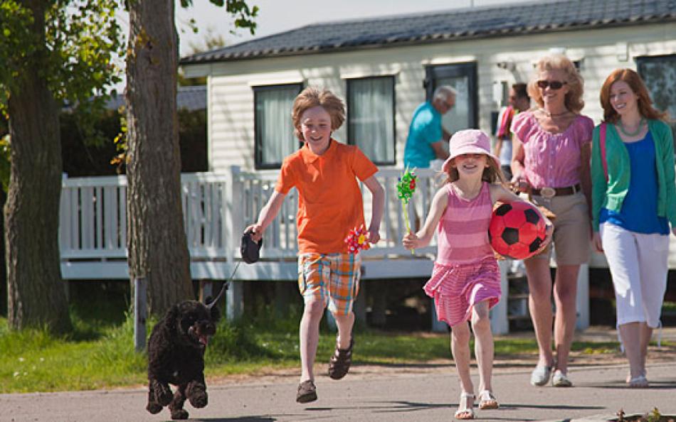 Waldegraves dog friendly caravan park in Mersea Island Essex