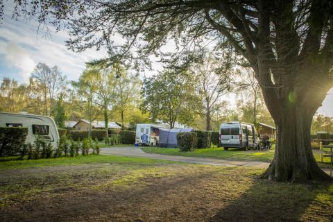 toruing and camping in Poole in Dorset at Sandford Holiday Park