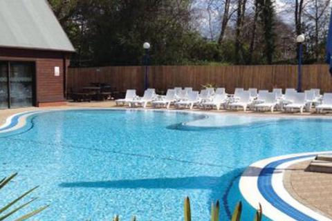 outdoor swimming pool at Sandy Balls Holiday Village