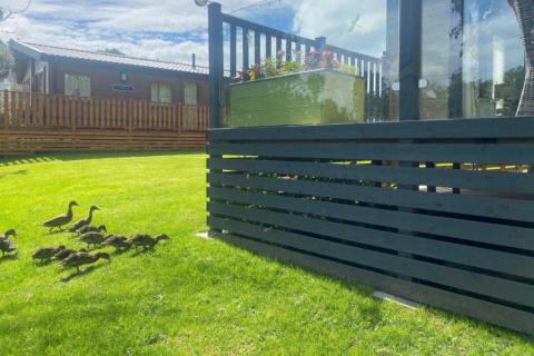 luxury lodge park in lancashire at Docker Holiday Park