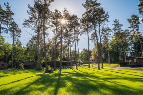 lodges in the woods in the lake district