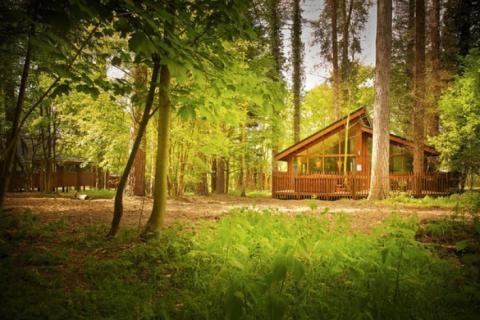 luxury lodges in norfolk at Thorpe Forest