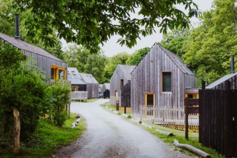 rown of holiday lodges at Burnbake Forest Lodges in Dorset
