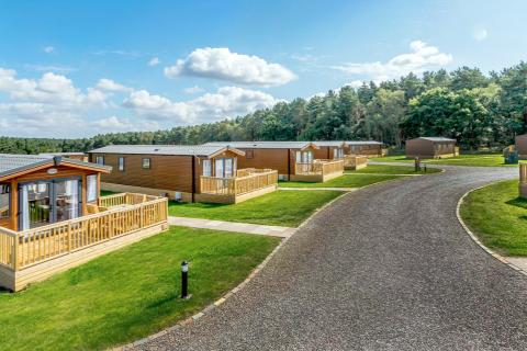 lodges near Sherwood Forest in Nottinghamshire