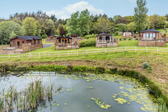 lodges by the lake at Holmans Wood Holiday Park