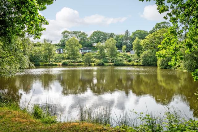 superb fishing holidyas at Lakeview Manor Lodges