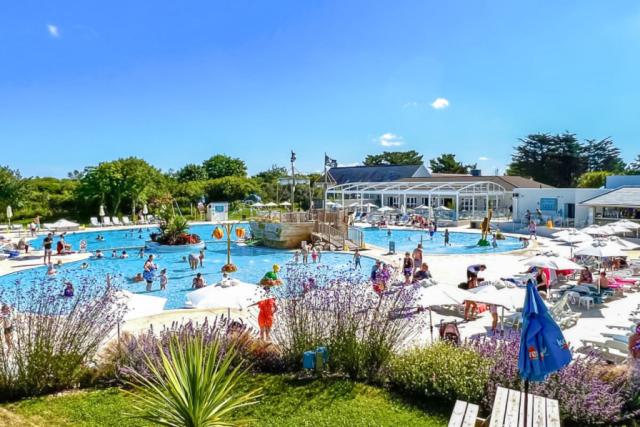 swimming pool at monkey tree holiday park newquay