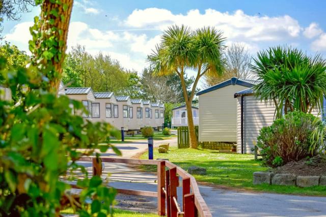 monkey tree holiday park in cornwall