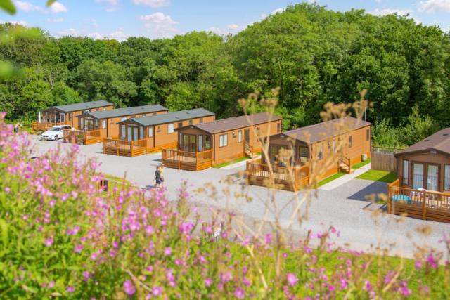 lodges at Woodbury Woods near Exeter, Devon