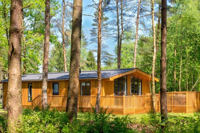 luxury lodge breaks at darwins forest lodge park 