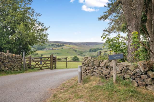 dogs welcome at longnor wood holiday park in derbyshire