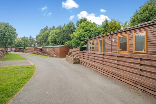 lodge breaks adults only at longnor wood holiday park in derbyshire near buxton