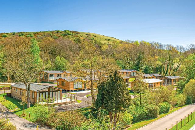 luxury lodge breaks at views from a lodge at osmington mills lodge park near weymouth