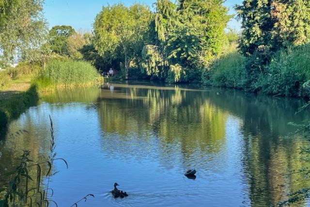 fishing at waldegraves holiday park 