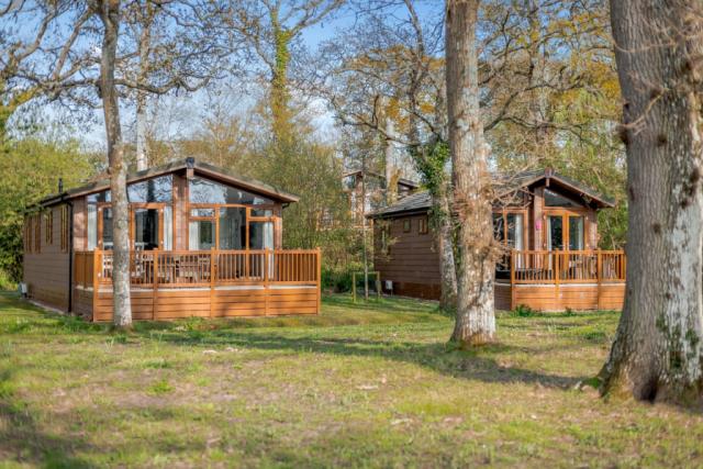lodge breaks at wareham forest lodge retreat near poole