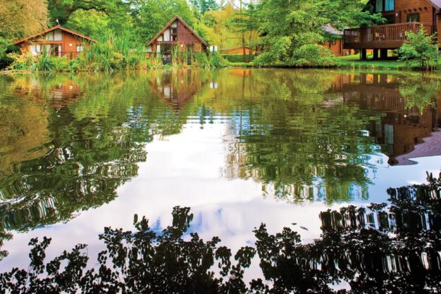 whitemead forest park in gloucestershire near forest of dean 