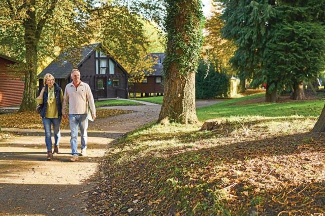 whitemead forest park