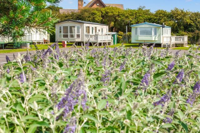 merryfield and sandfield holiday park near chapel st leonards