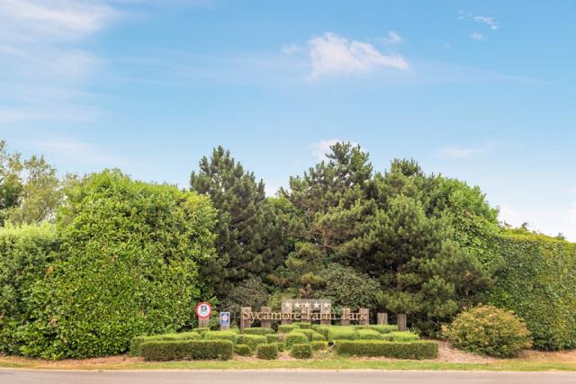 sycamore lakes holiday park 