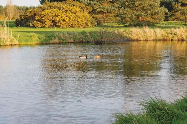 fishing holiday at fairway lakes lodges in norfolk
