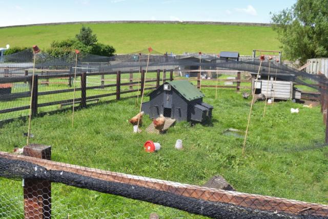 herding hill farm 