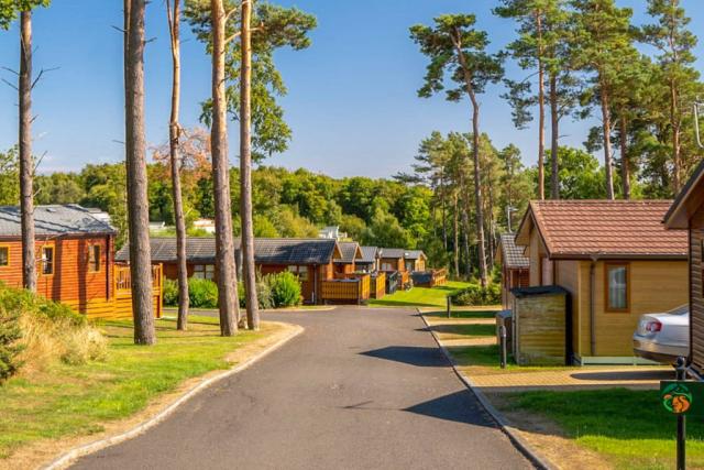 lodge breaks at percy wood country park in morpeth