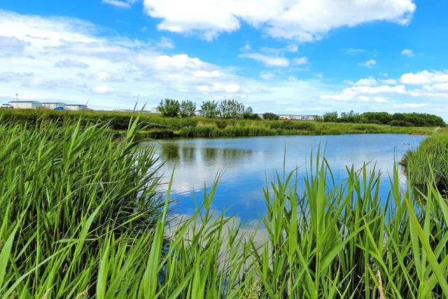 fishing at aldbrough leisure park near hull
