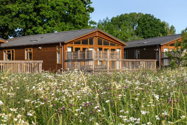 brokerswood holiday park