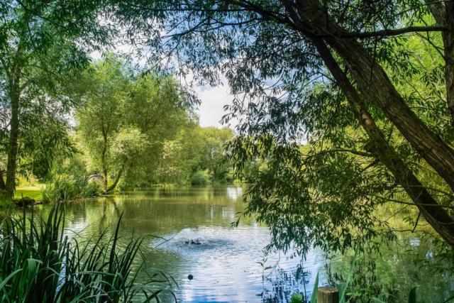 fishing at fairwood lakes holiday park in wiltshire