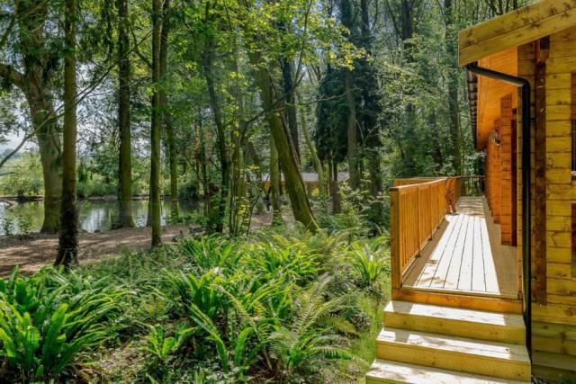 peckmoor farm lodges in crewkerne