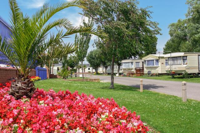 riverside holiday park in bognor regis