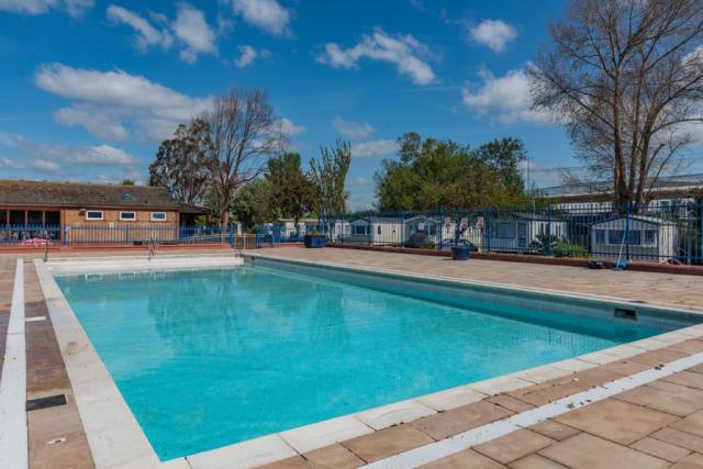 outdoor pool at riverside holiday park in bognor regis