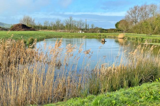 rookery manor lodges near weston-super-mare