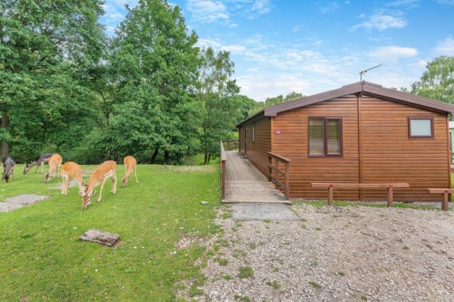 lodge at silver trees holiday park near Rugeley
