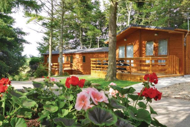 lodges at allerton holiday park 