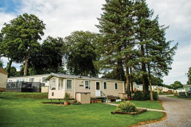lodge holidays at grondre holiday park near narberth