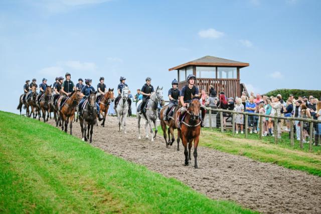 pant wilkin lodges and equestrian centre in cowbridge