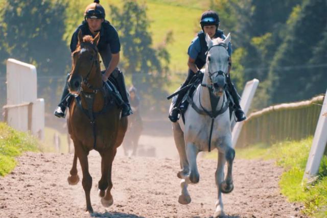 pant wilkin lodges and equestrian centre in cowbridge