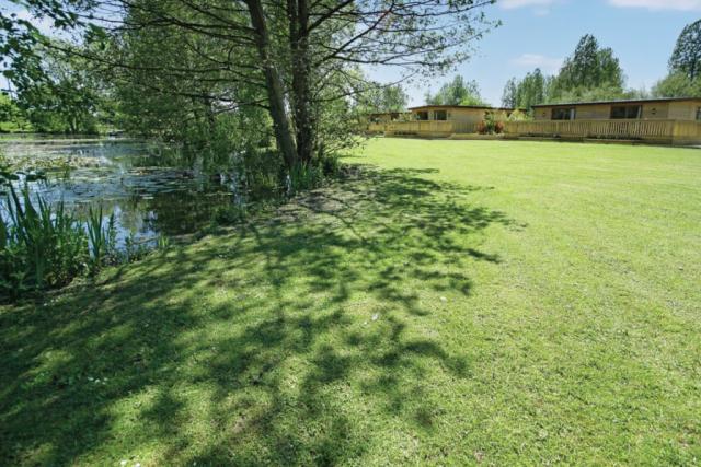 fishing at pickering lodges near pickering