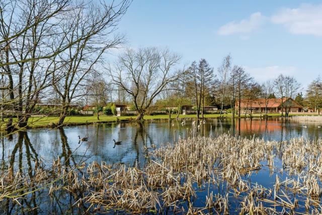 fishing lake at pickering lodges near pickering