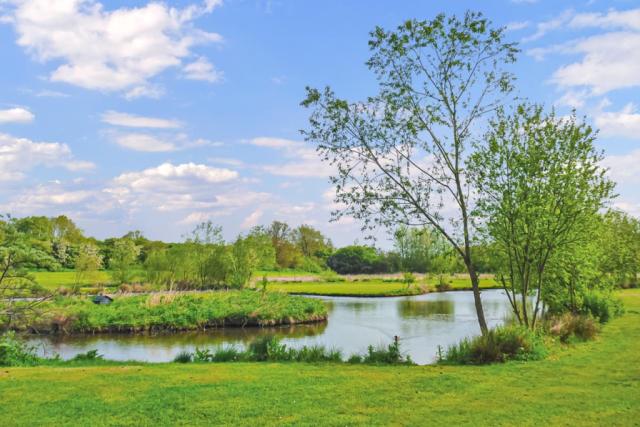fishing at weir holiday park near york